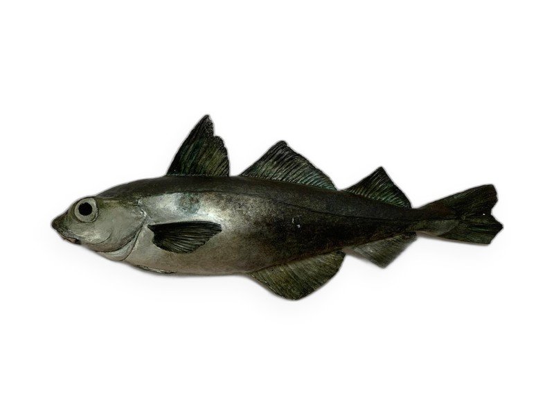 Haddock